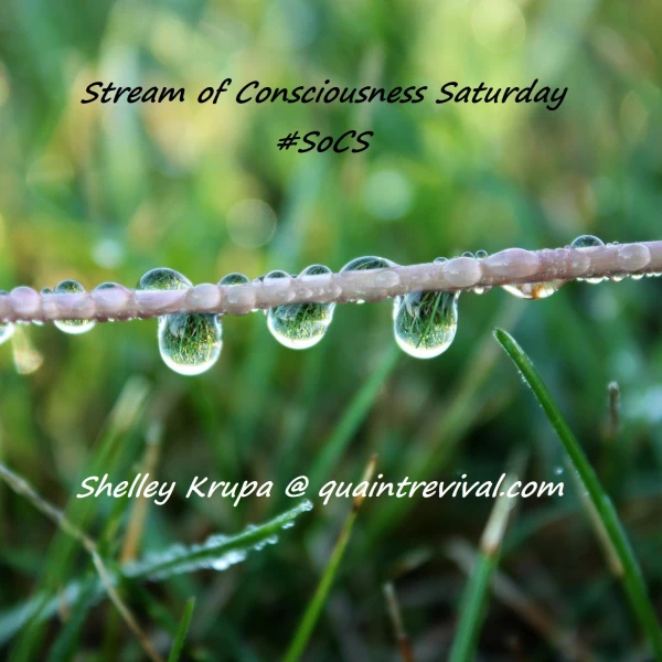 Stream of Consciousness Saturday logo